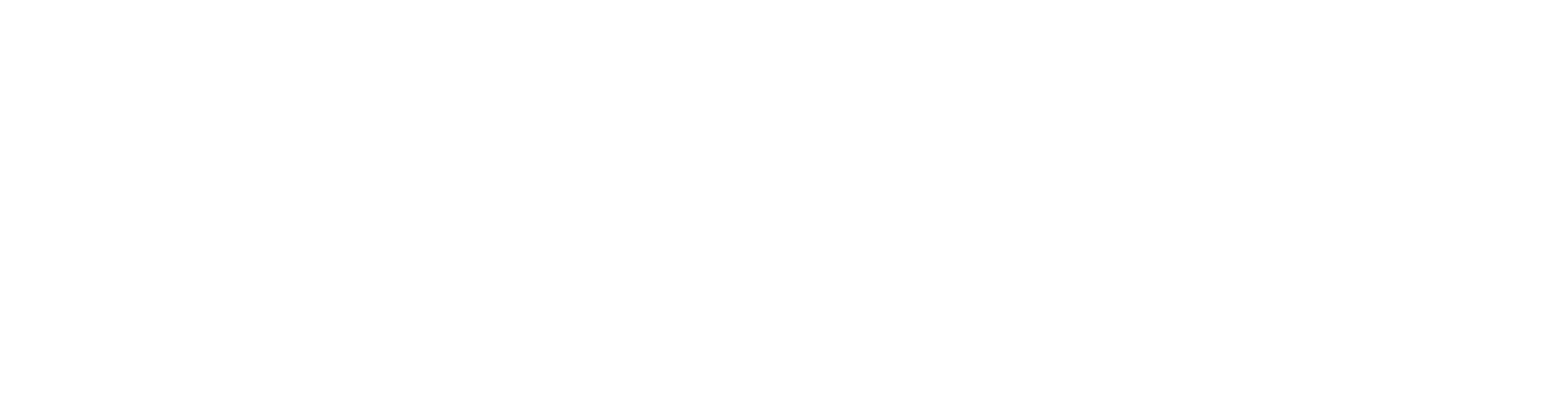 SelfTunnel logo